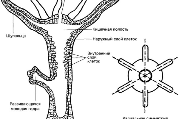 Кракен сайт kr2web in официальный ссылка