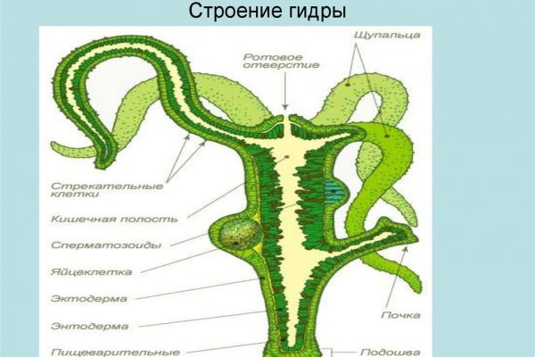 Зарегистрироваться на сайте кракен